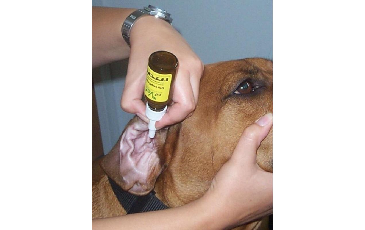 Ohrenreiniger Ohrenpflege, 20 mlOhrenpflege für Hunde