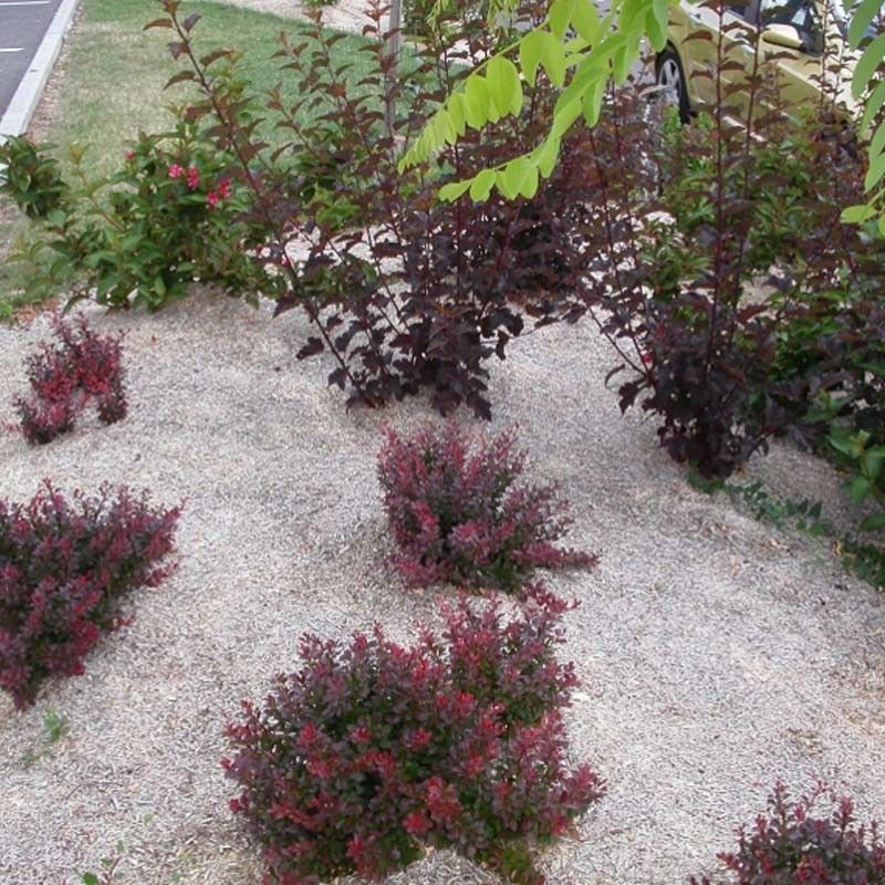 Paillis de chanvre dégradable sans pesticide - balle de 200 litres pour 5 m²