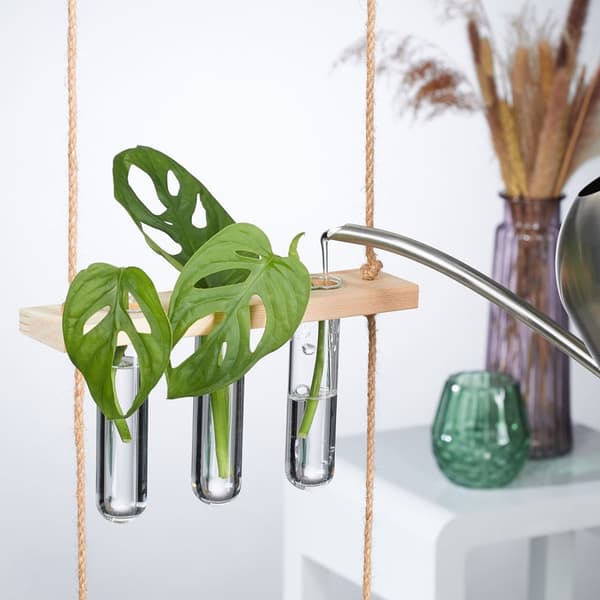 Forplantningsstasjon for hengende planter