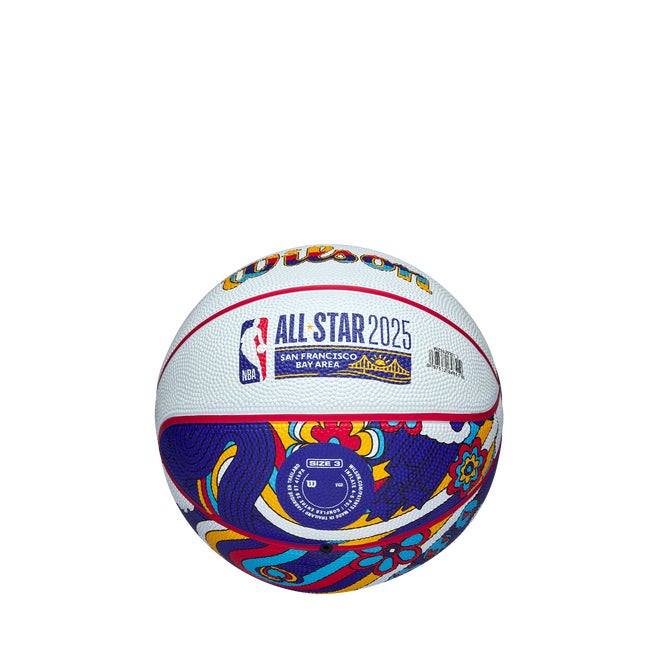 2025 NBA All-Star Mini Basketball