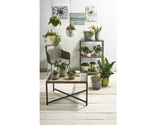 Soendgen Bergamo geglazuurde keramische bloempot, Ø 14 cm, H 13 cm, mintgroen