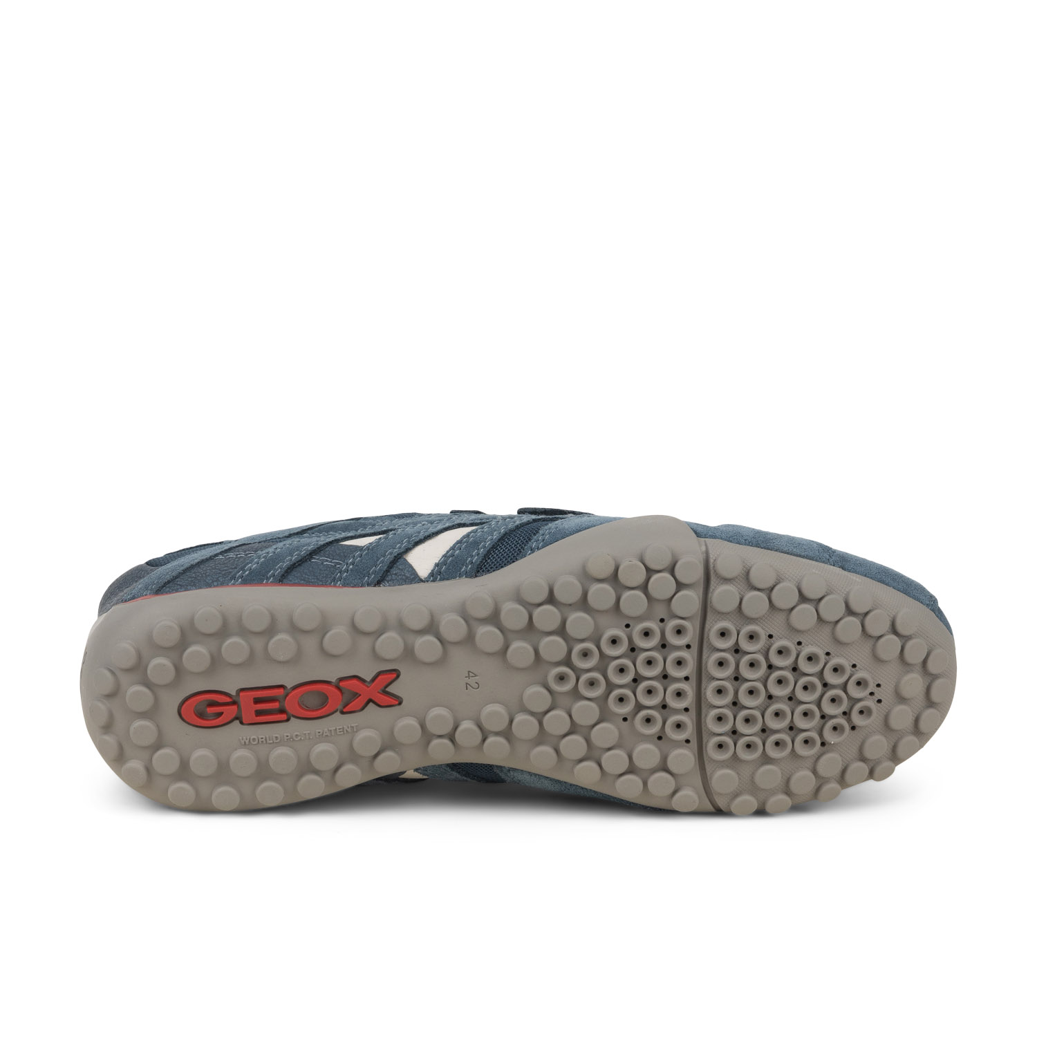 Baskets homme GEOX SNAKE CLASSIQUE