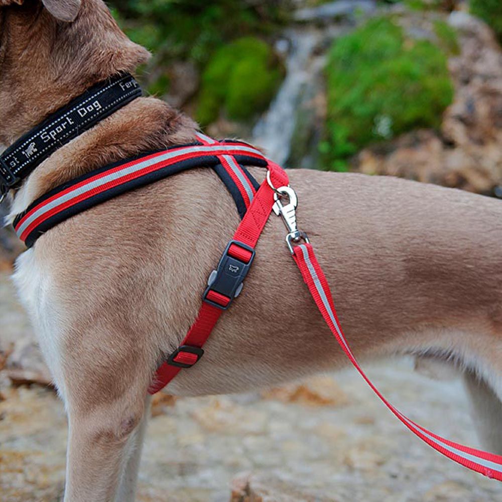 Harnais pour chiens de taille moyenne à grande daytona cross m-l, réfléchissant, avec boucle magnétique