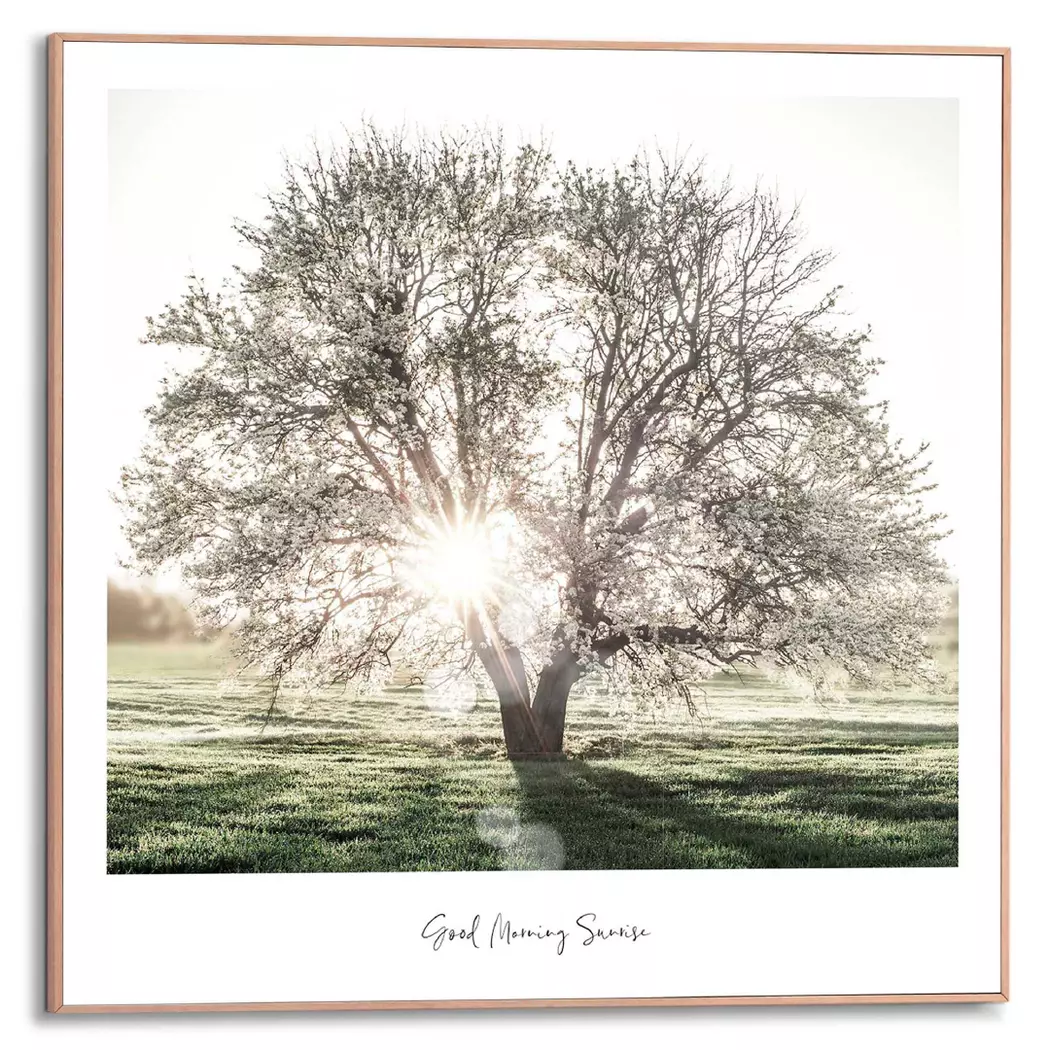 Wandbild 50 x 50 cm Morgensonne