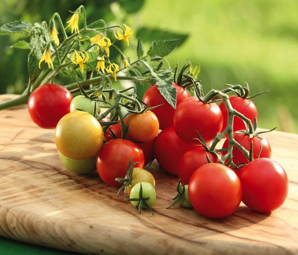 Cocktailtomate, rot