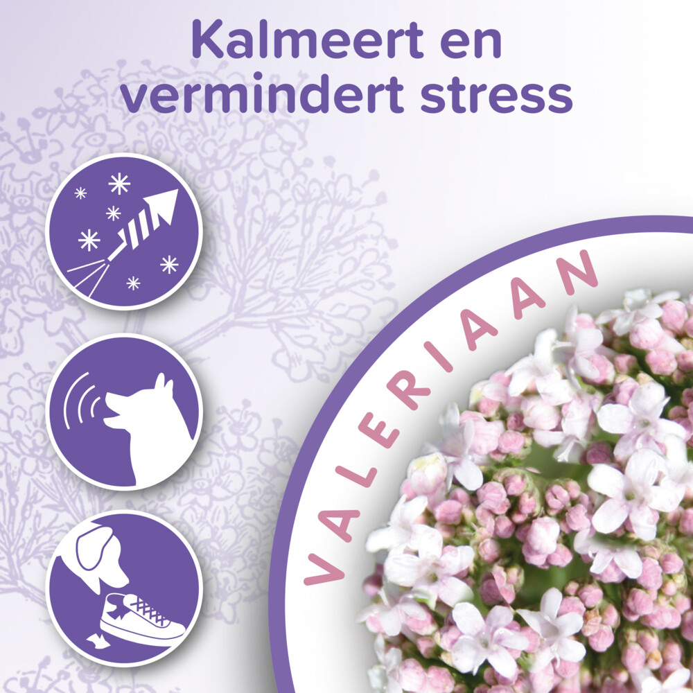 Beaphar No Stress HondHalsband