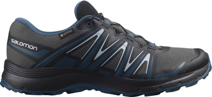 Salomon Xa Sierra Gore Tex Vandresko Sort