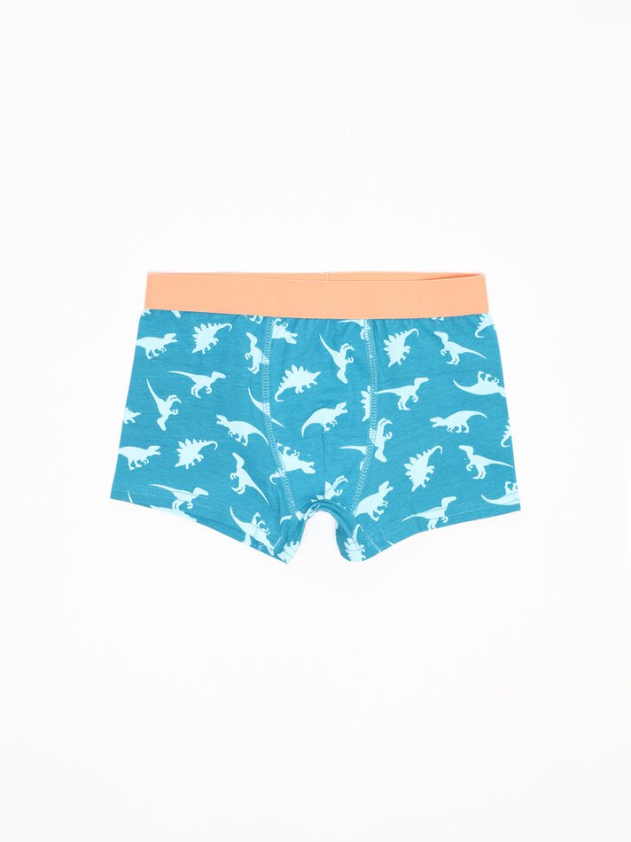 Pacote com 7 cuecas boxer estampadas - Cores Variadas
