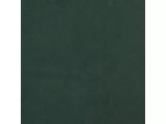 Sommier à lattes de lit Vert foncé 200x200 cm Velours