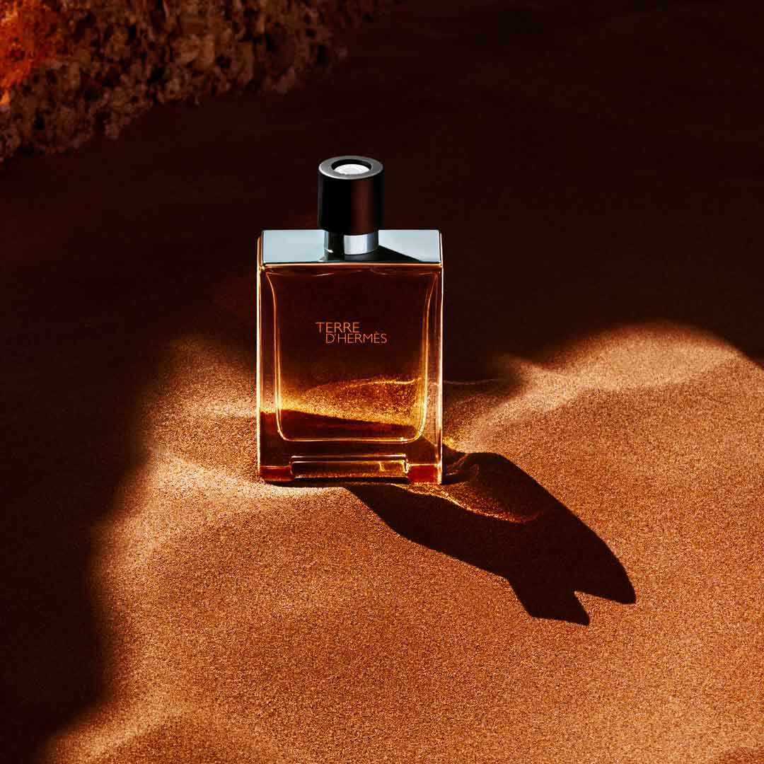 Hermès TERRE D'HERMES Eau de Toilette - 100ml