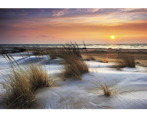 Canvasprint Helmgrass&Dunes 80x116 cm