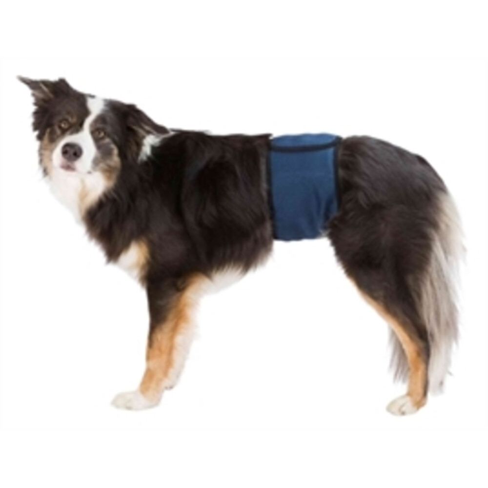 Trixie Plasband voor Reuen BlauwM 37/45 cm