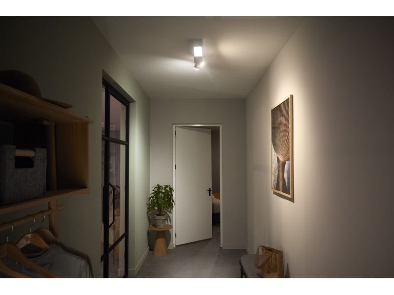 Philips Hue White & Color Ambiance Centris 2-Deckenspot Wei Smarte Beleuchtung für jeden Raum