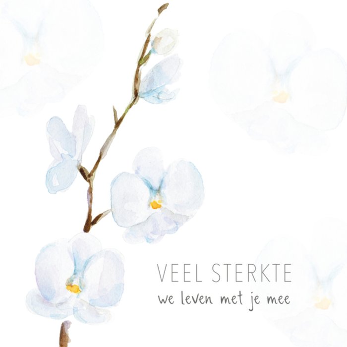Michelle Dujardin | Denken aan kaart | sterkte