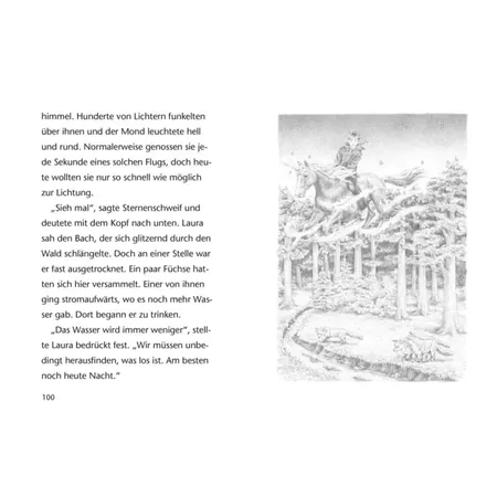 Carlsen Verlag Sternenschweif: Doppelband – Spuren im Zauberwald / Funkelnder Wasserzauber