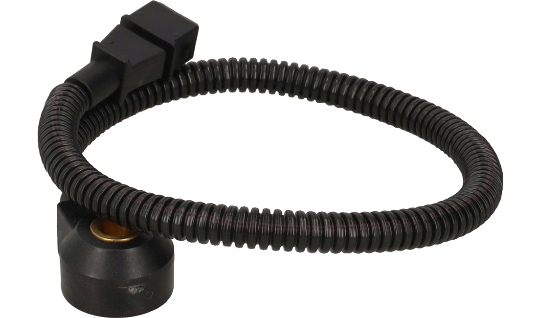 Bankesensor