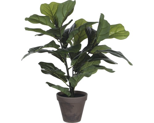 Kunst Ficus plant, groen