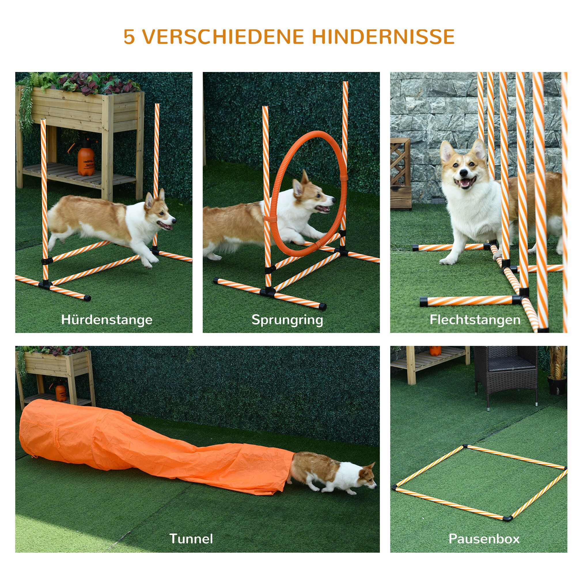 PawHut Hunde Agility Set 5-teilig orange, weiß 328 x 67 x 93 cm (LxBxH)