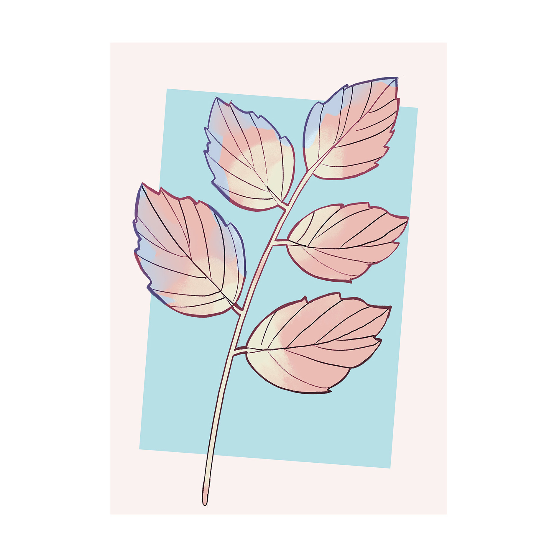 Wandbild CINDERELLA PLANT - 50x70 cm