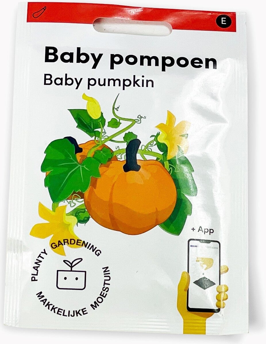 Makkelijke Moestuin groentezaad Pompoen (Cucurbita 'Baby Bear')