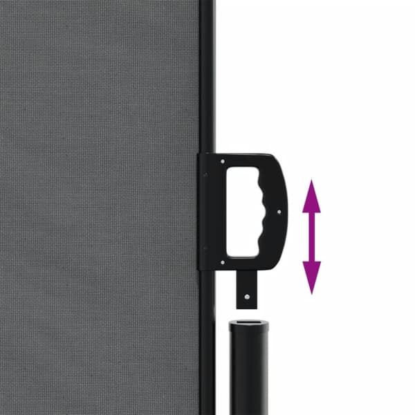 vidaXL Uttrekkbar sidemarkise 180x1200 cm antrasitt