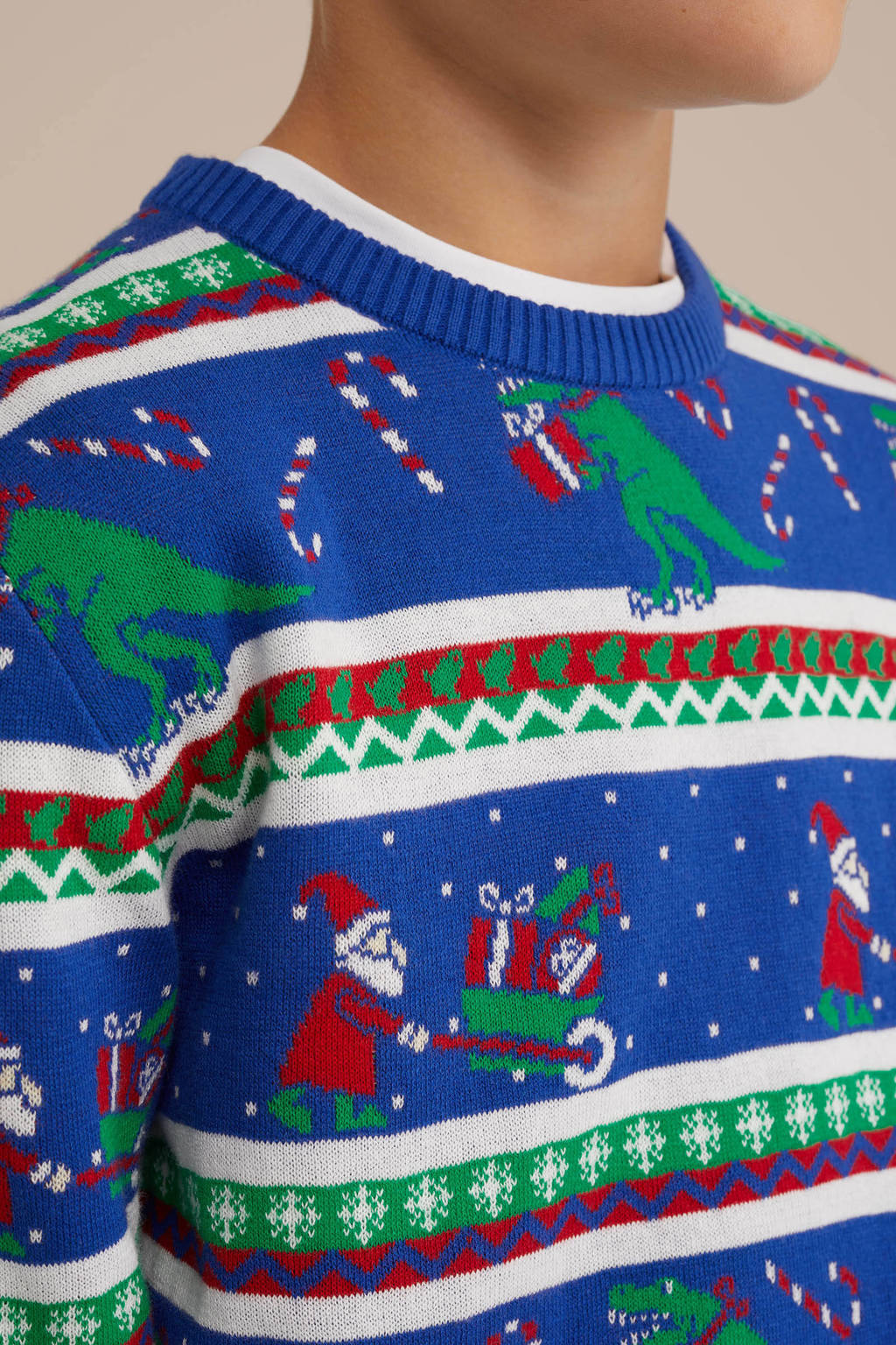 WE Fashion gebreide kersttrui blauw/groen