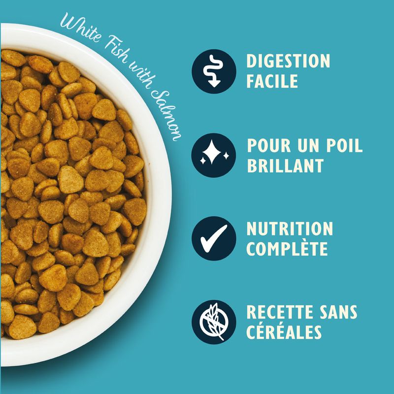 Lily's Kitchen Adult poisson blanc, saumon pour chat