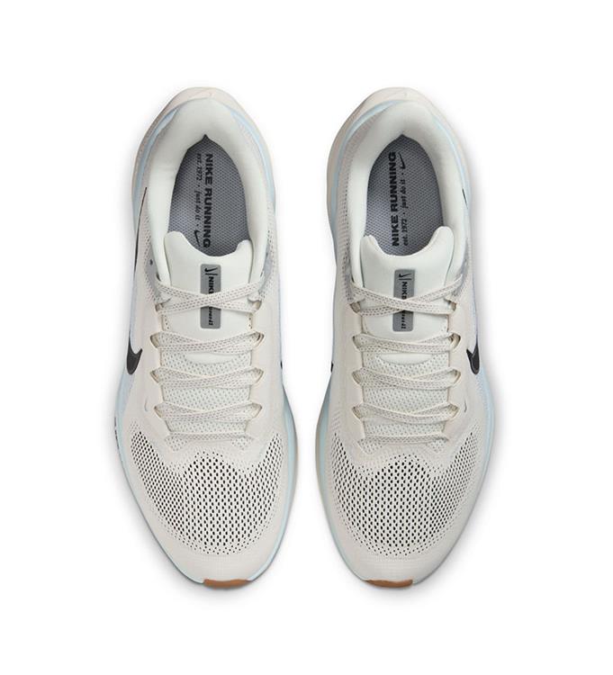Nike Pegasus 41 Road Run FD2722 SAIL-ANTHRACITE-BLUE-TINT-WOLF