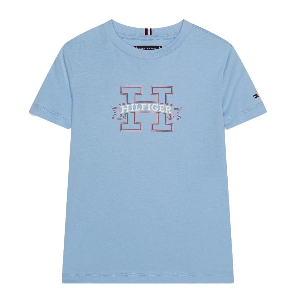 Tommy Hilfiger T-shirt Bleu Garçon Tommy Hilfiger Regular