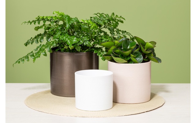 Scheurich Blumentopf »Blumentopf Weiss, 33 cm«