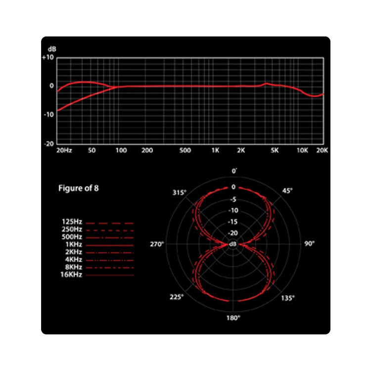 SE Electronics RNR1 Rupert Neve actieve ribbon microfoon