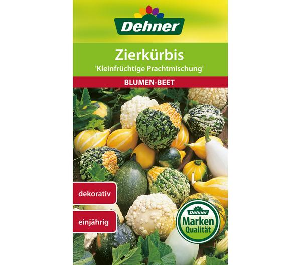 Dehner Samen Zierkürbis 'Kleinfrüchtige