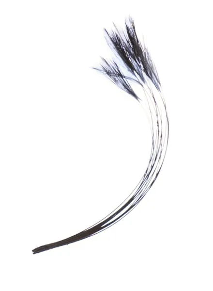 Veniard Stripped Hackle Quills