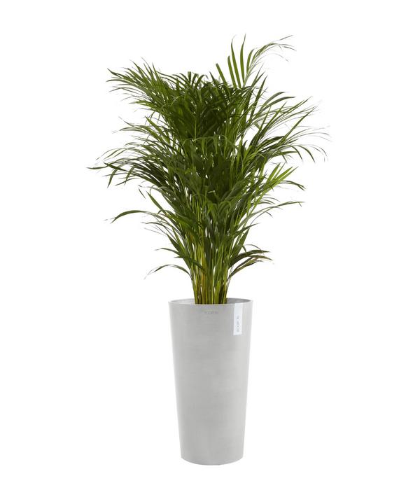 Ecopots Kunststoff-Topf Amsterdam hoch, rund