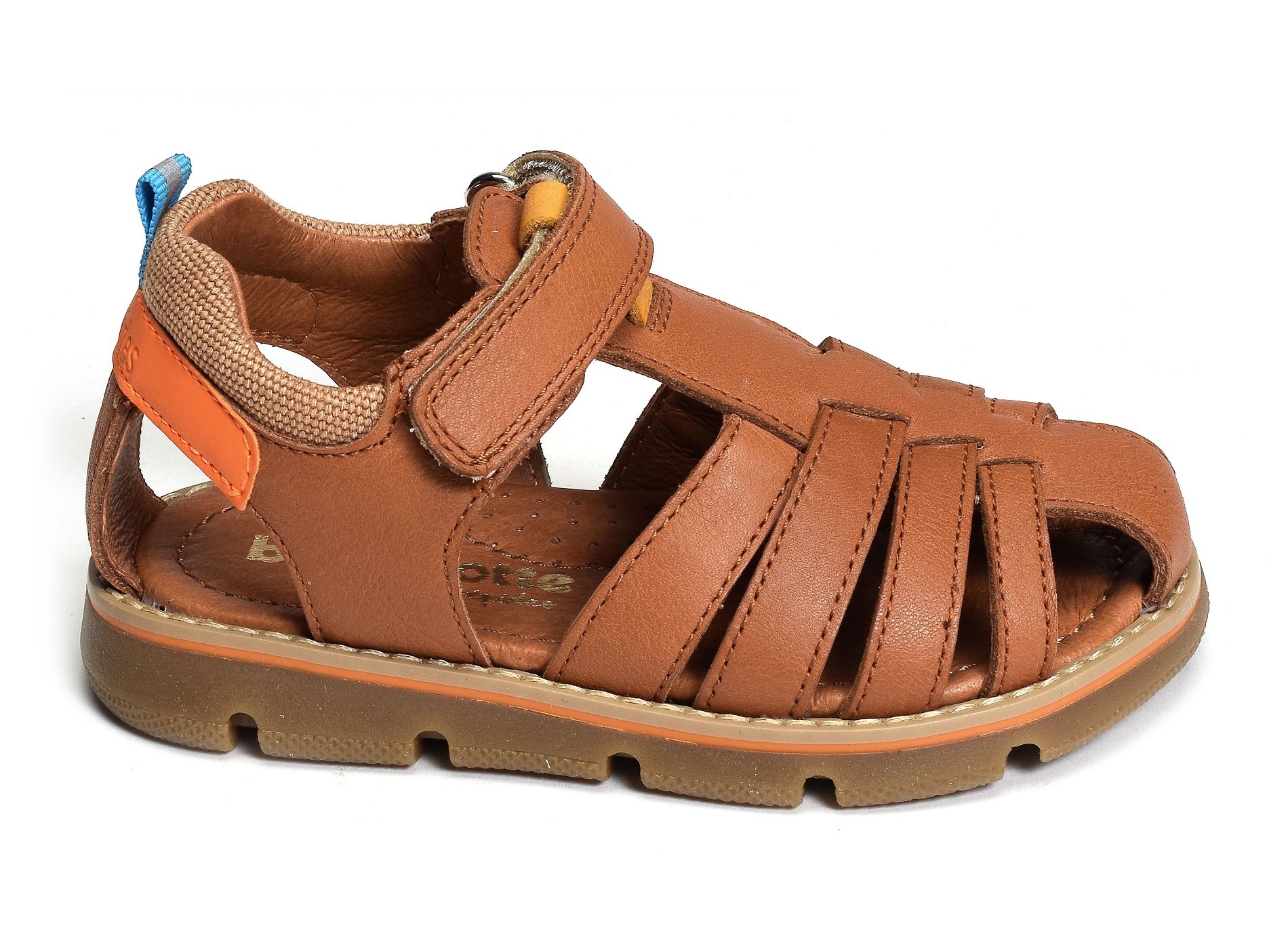 Kiko camel