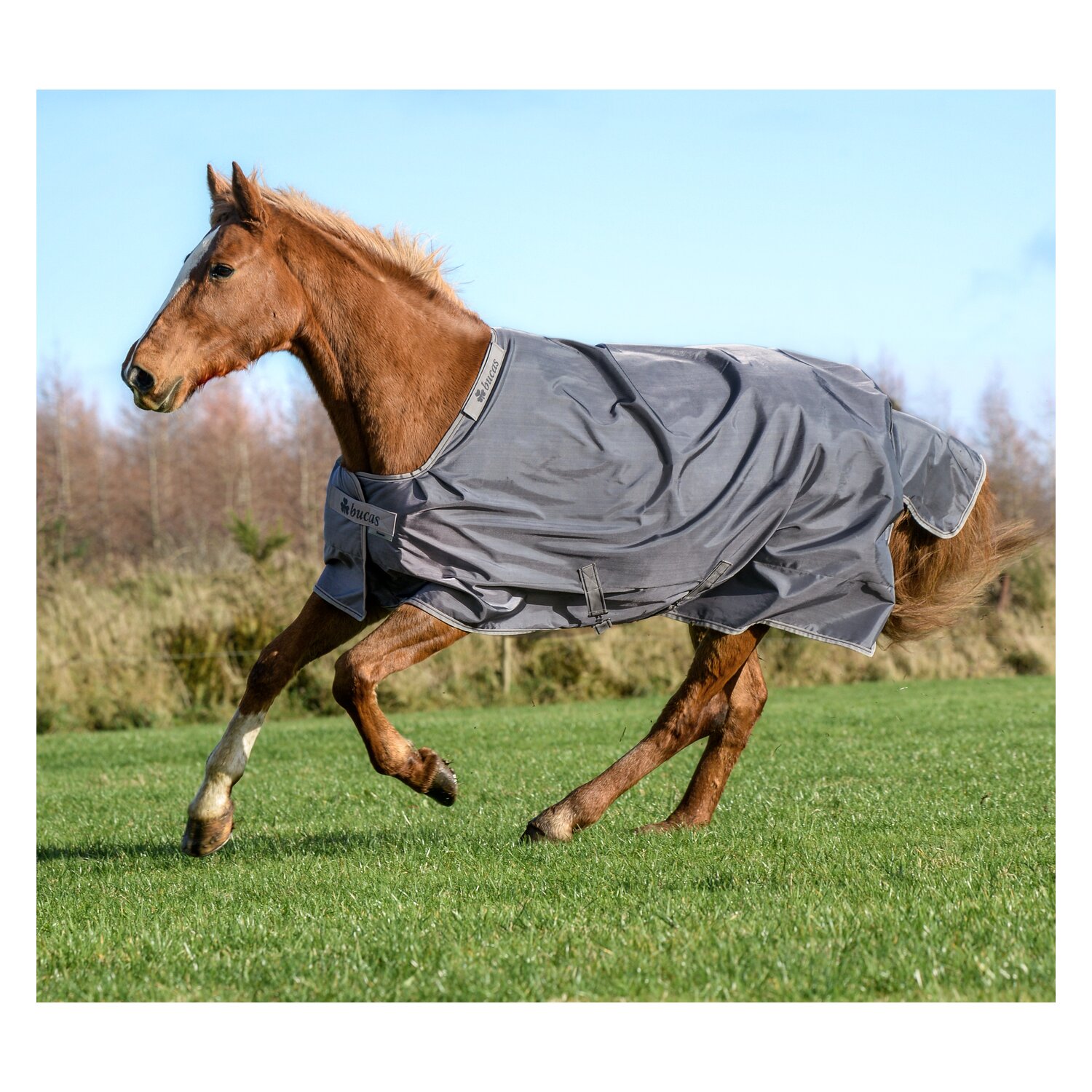 bucas Outdoordecke Smartex Rain - iron gate