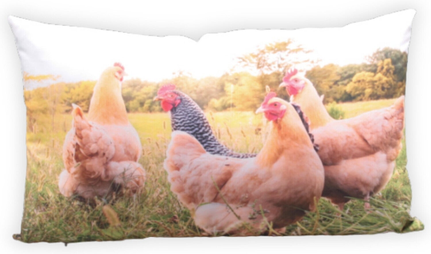 Farmwood Animals sierkussen kippen multi 30 x 50 x 2 cm