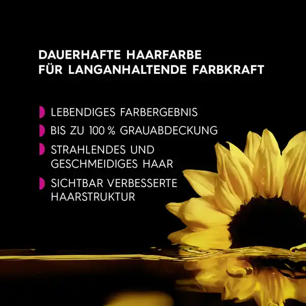 Dauerhafte Haarfarbe Coloration 3.0 Dunkelbraun