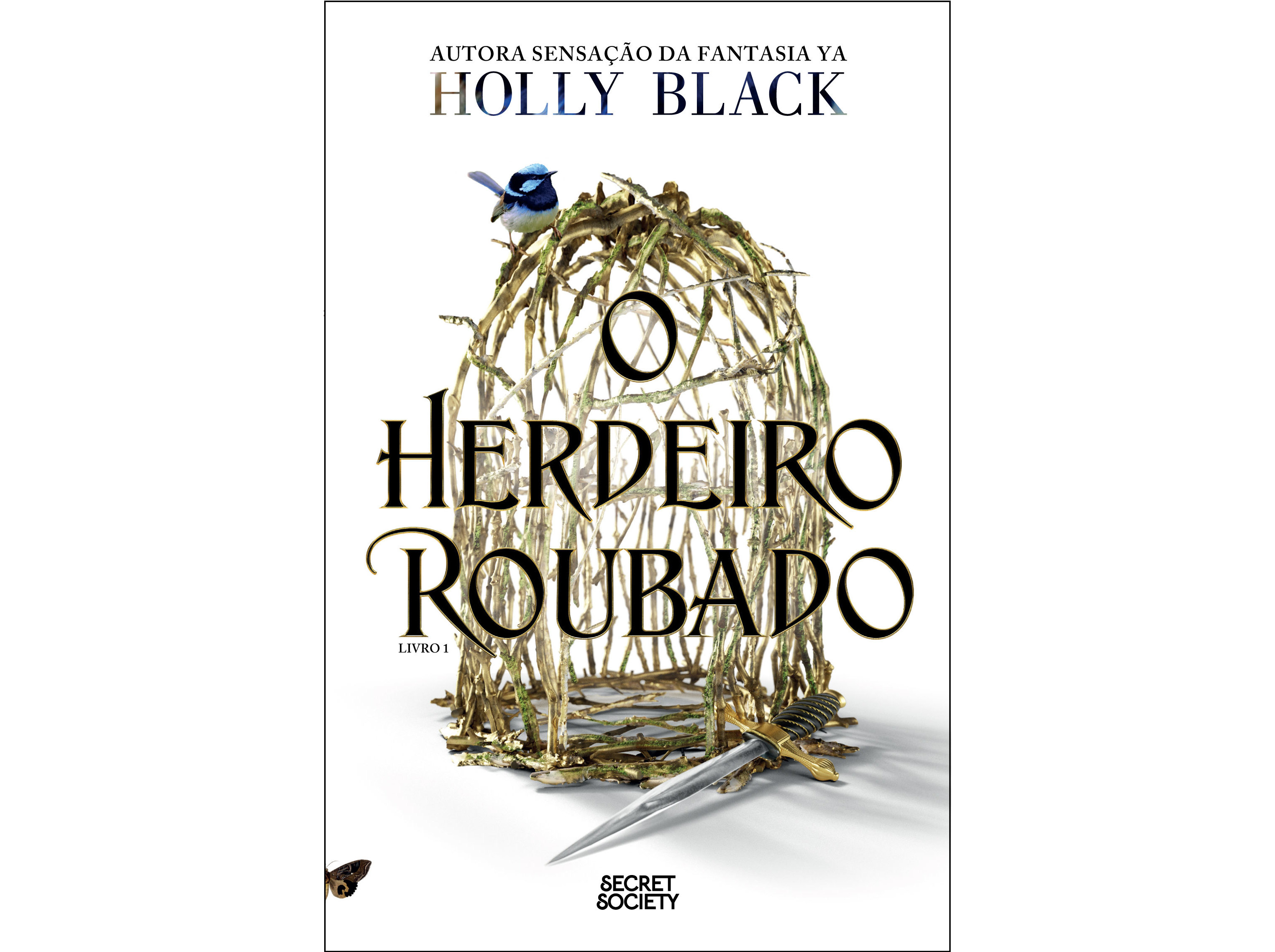 LIVRO O HERDEIRO ROUBADO DE HOLLY BLACK