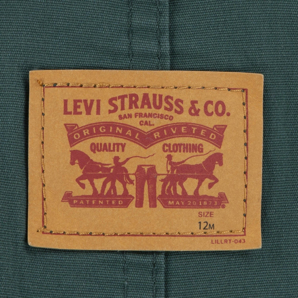 Køb Levi's GREEN Carpenter Overalls