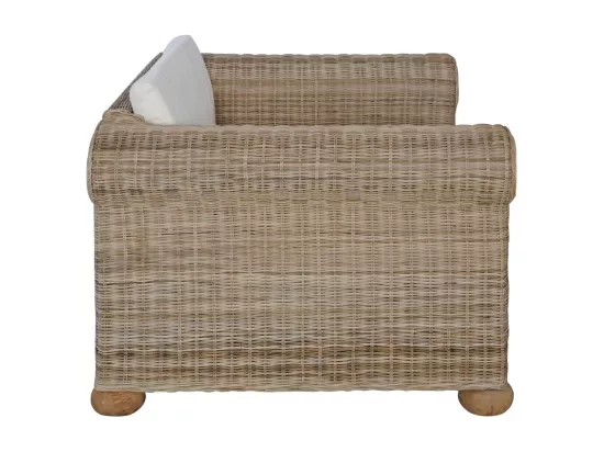 Fauteuil avec coussins Rotin naturel