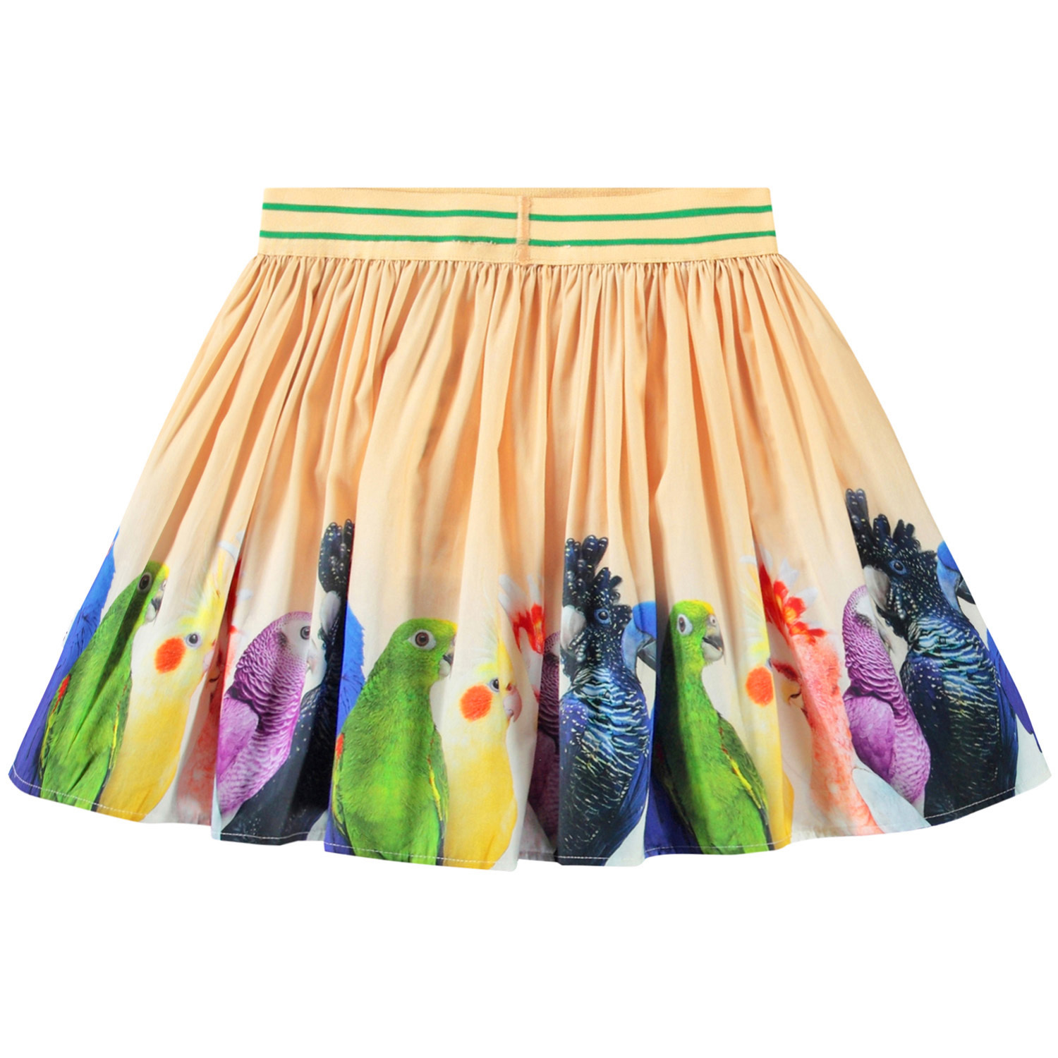 Brenda - Rainbow Parrots
