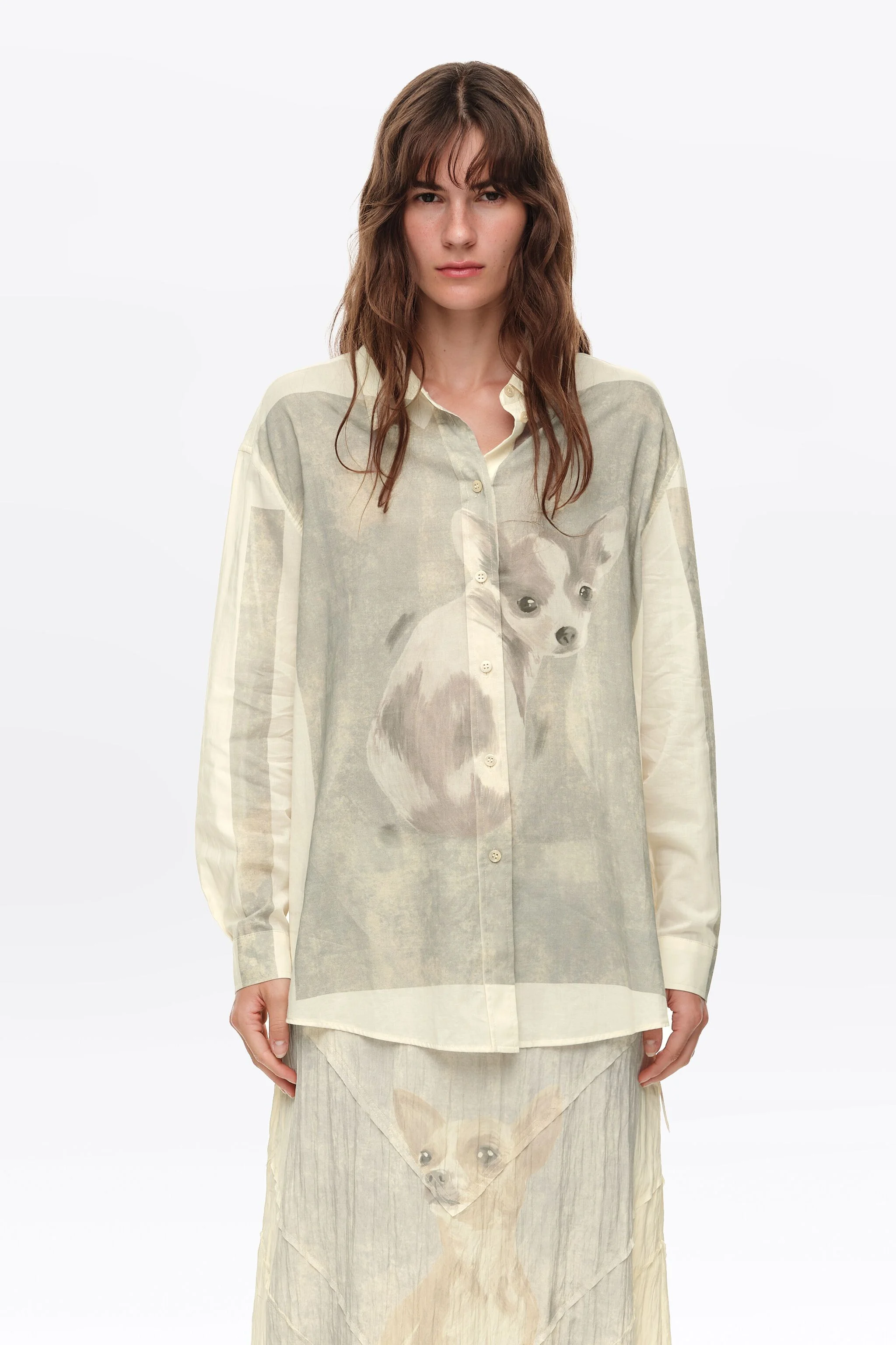 Camisa cinza claro com estampa de chihuahua