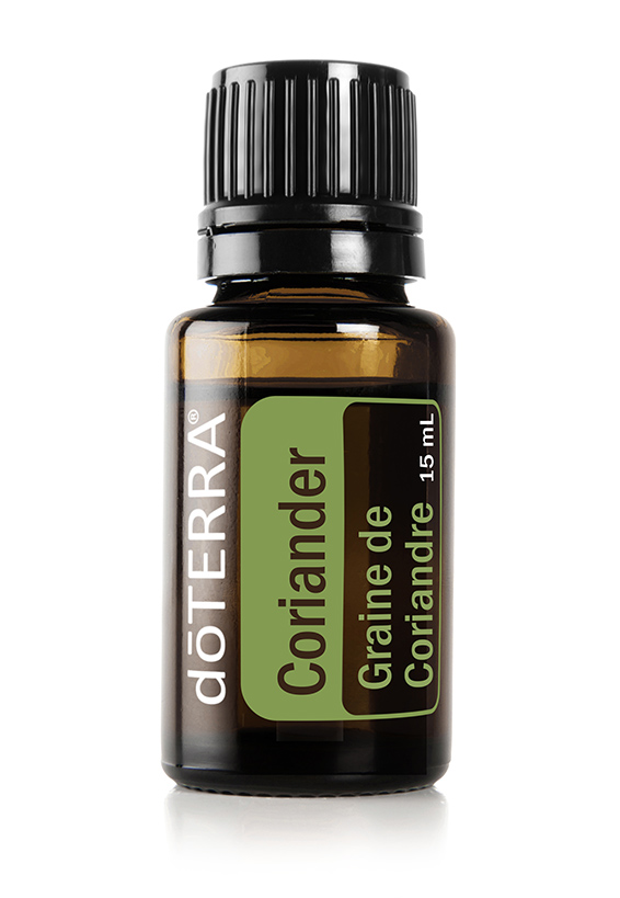 Graine de coriandre  Coriandrum sativum