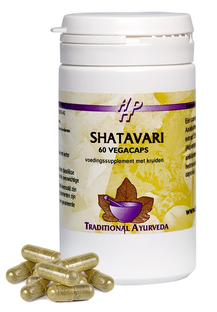 Holisan Shatavari Capsules 60CP