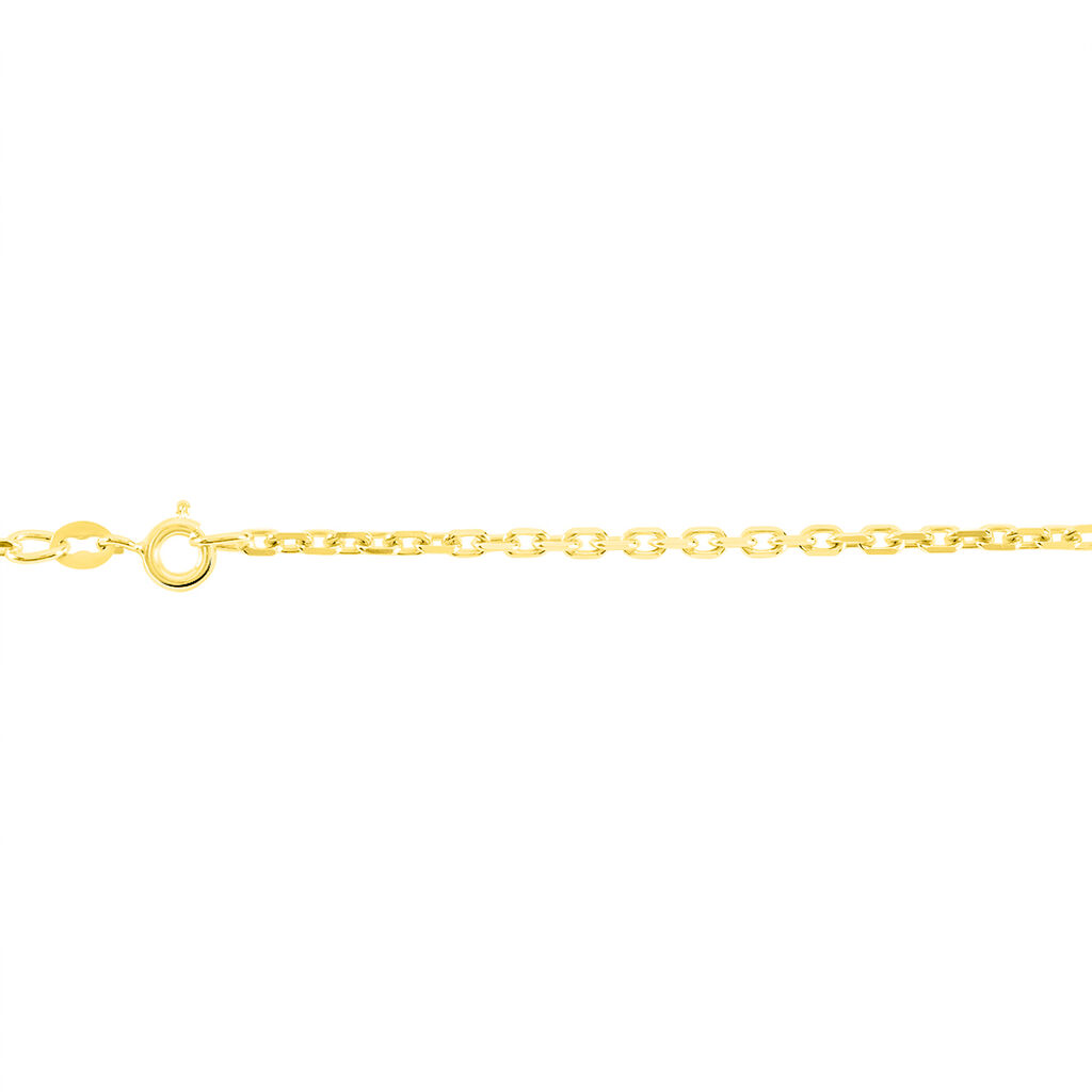 Chaîne Igoa Maille Forçat Diamantee Or Jaune