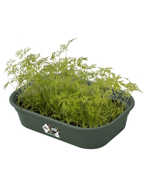 Elho Green Basics Kweektray Groen - Kweekbenodigdheden