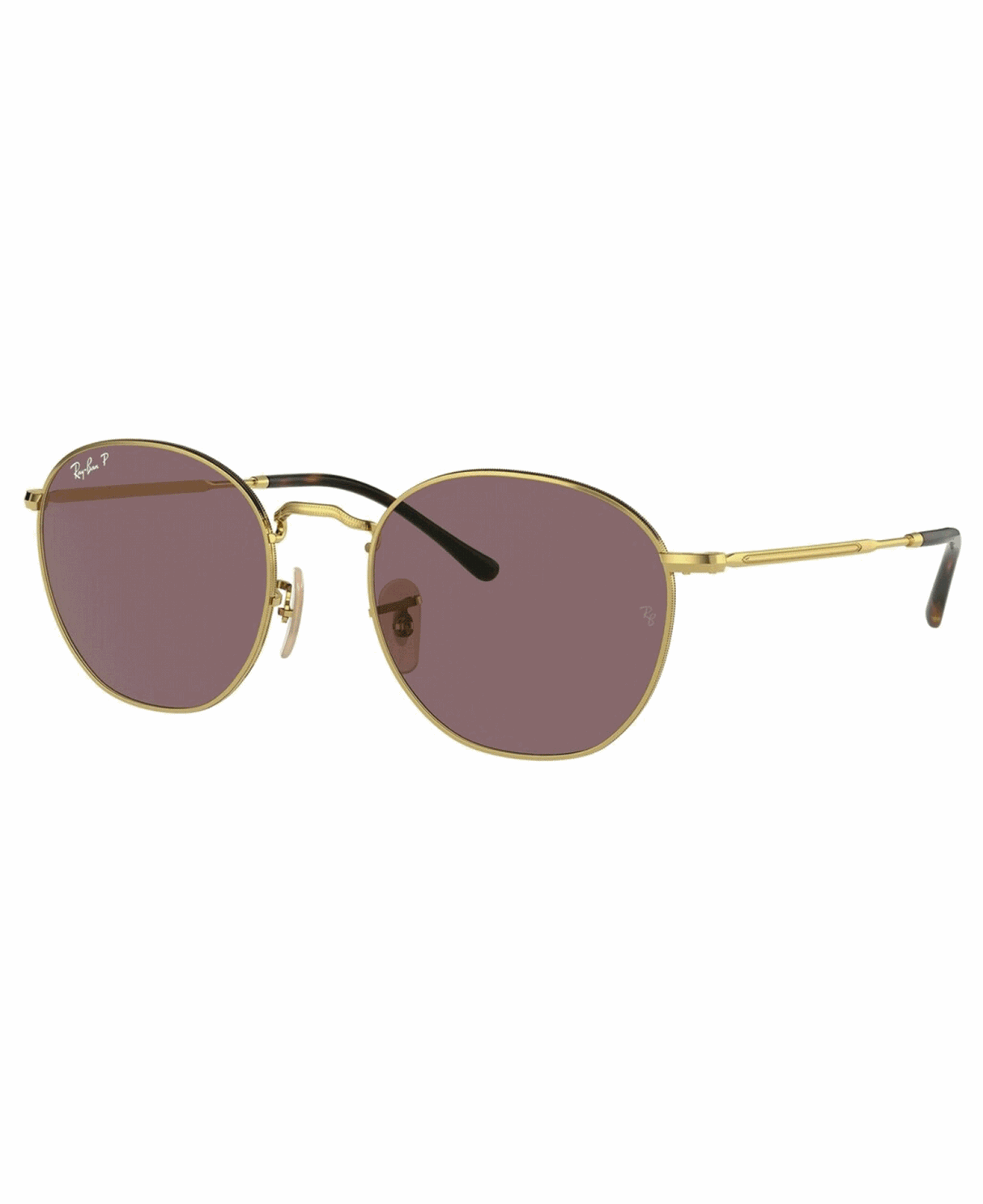 Ray-Ban<br>Rob