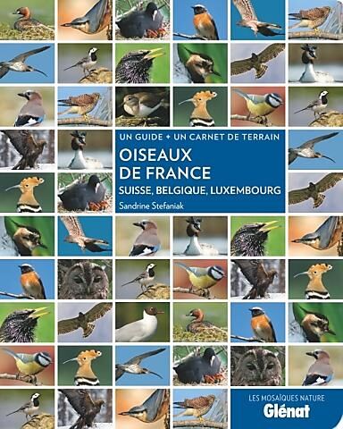 GLENAT - OISEAUX DE FRANCE