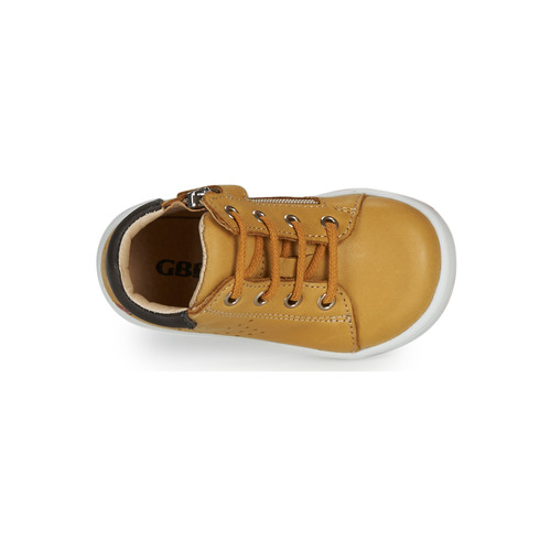 GBB - FOLLIO - Ocre
